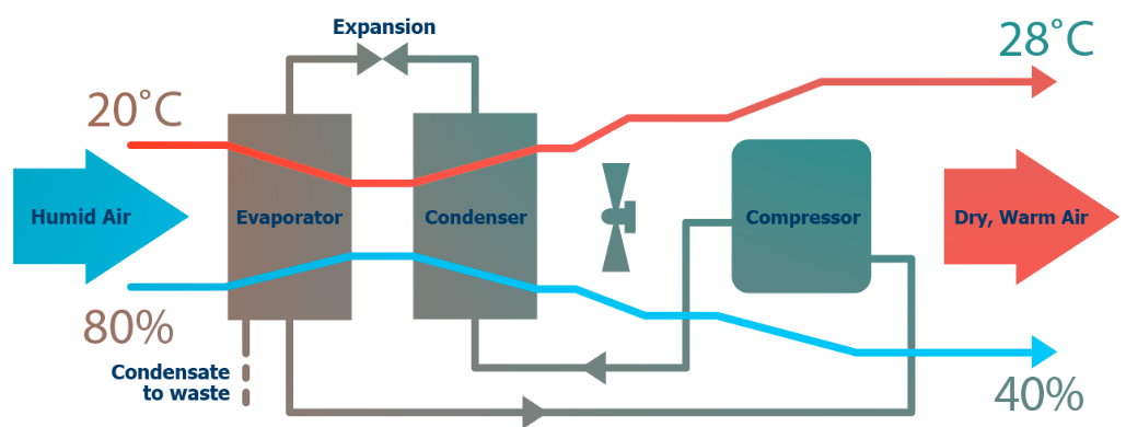 Screenshot 2022 05 03 13.34.21 1