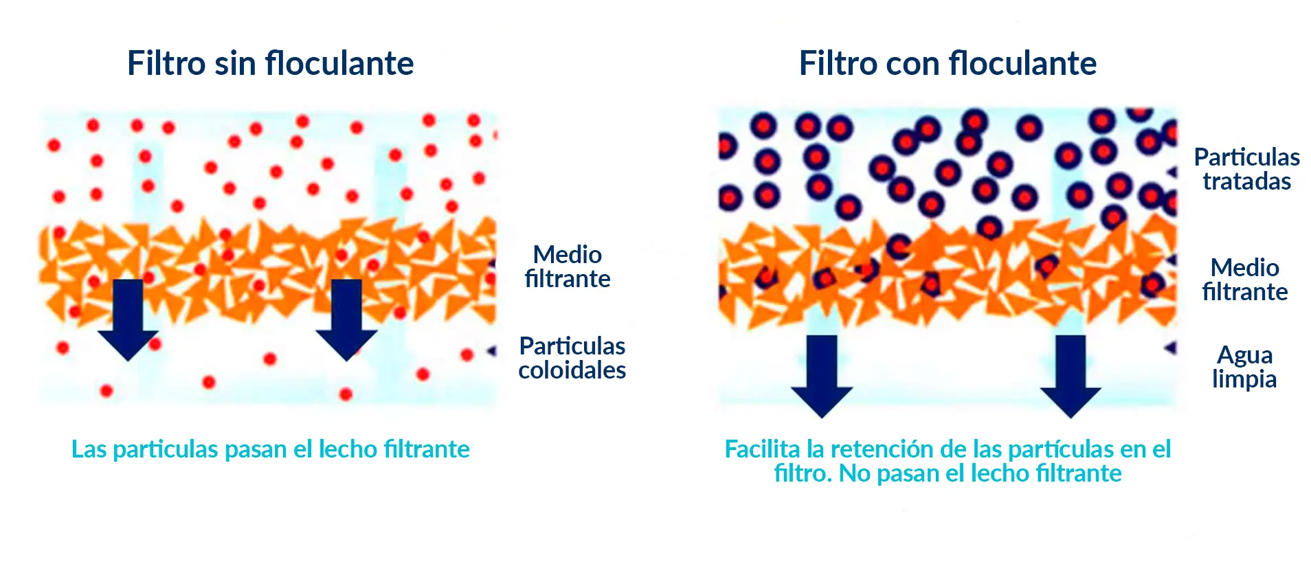 La floculación y la coagulación en el tratamiento de la piscina: claves para conseguir un agua transparente 2 Floculacion B0601 ES