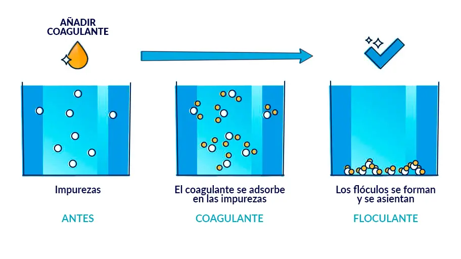 La floculación y la coagulación en el tratamiento de la piscina: claves para conseguir un agua transparente 1 coagulation ES